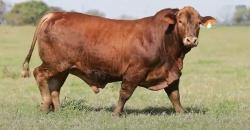 lote 27 - H091