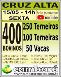 Gado Geral - Cruz Alta - RS