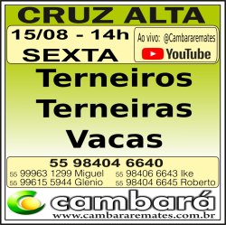 Gado Geral - Cruz Alta