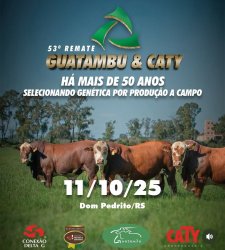 53 Remate Guatambu e Caty