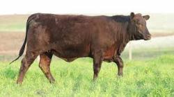 lote 90 - H138