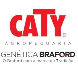 Remate Caty