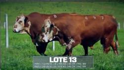 S�o Fernando - TAT F497 / F821