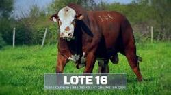 S�o Manoel - TAT T150