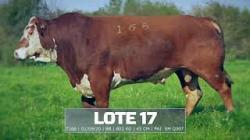 S�o Manoel - TAT T166