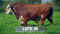 S�o Manoel - TAT T320