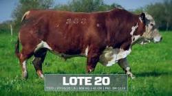 S�o Manoel - T333