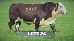Sil�ncio - TAT V 2461