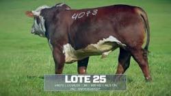 Sil�ncio - TAT V4073