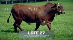 Sil�ncio - TAT V2176