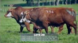 Sil�ncio - TAT V793 / V796 / V2185