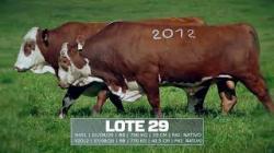 Sil�ncio - TAT V451 / V2012
