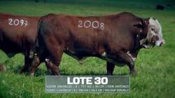 Sil�ncio - TAT V2008 / V2097