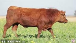 TAT 3331FIV 