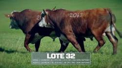Sil�ncio - TAT V2061 / V2071