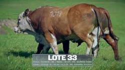 Sil�ncio - V1013 / V3449