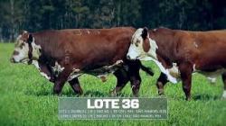 S�o Manoel - TAT U71 / U345