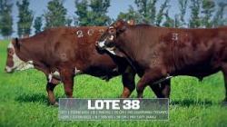 S�o Manoel - TAT U57 / U205