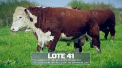 S�o Manoel - TAT T31 / T37