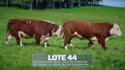 Sil�ncio - TAT V25 / V39