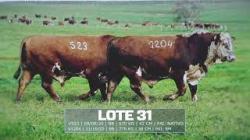 Sil�ncio - TAT V523 / V1204