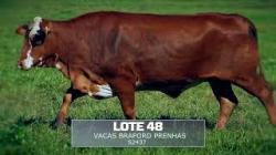 Sil�ncio - TAT S2437