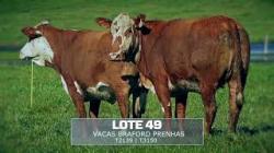 Sil�ncio - TAT T2139 / T3150