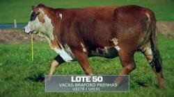 Sil�ncio - TAT U3278 / U4191