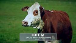 Sil�ncio - TAT S2593