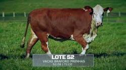 Sil�ncio - TAT S2156 - T1132