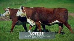 Sil�ncio - TAT U1210 / U1314