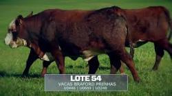 Sil�ncio - TAT U0446 / U0669 / U3248