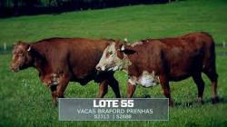 Sil�ncio - TAT S2313 / 2688