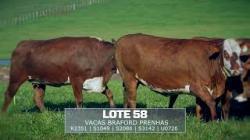 Sil�ncio - TAT R2351 / S1049 / S2086 / S3142 / U0726