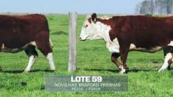 S�o Fernando - TAT FG216 / FG418
