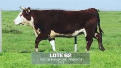 S�o Fernando - TAT 10016