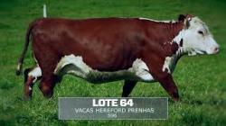 Sil�ncio - TAT S96