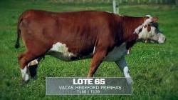 Sil�ncio - TAT T108 / T139