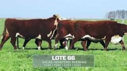 S�o Fernando - TAT C182 / E282 / D294 / D322