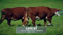 Sil�ncio - TAT R88 / S172 