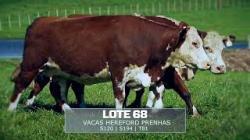 Sil�ncio - TAT S120 / S194 / T81