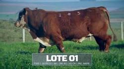 S�o Fernando - tat F105