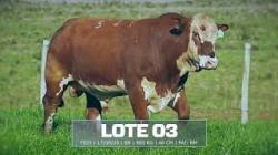 S�o Fernando - tat F525