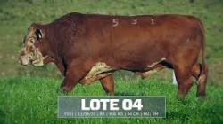 S�o Fernando - tat F531