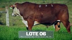 S�o Fernando - tat F831