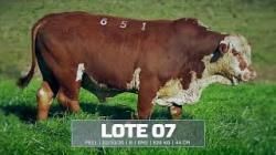 S�o Fernando - tat F651