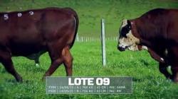 S�o Fernando - tat F399 / F509