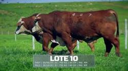 S�o Fernando - tat F407 / F613