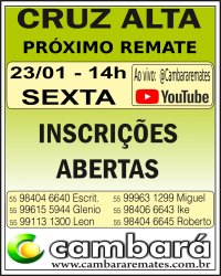 Gado Geral - Cruz Alta - RS