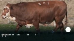 H083